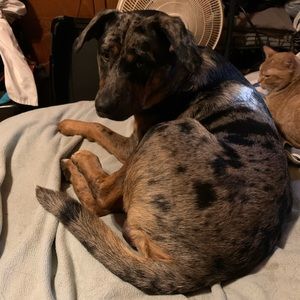 Meet your Posher, Sherry